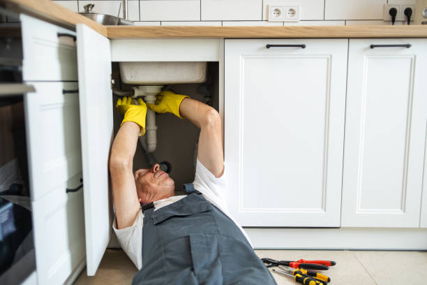 Best Local Plumber Services  in Selmer, TN